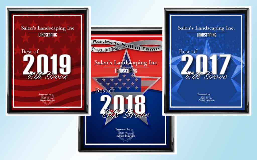 plaque pictures