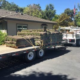 truck carrying sod