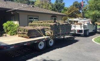 truck carrying sod
