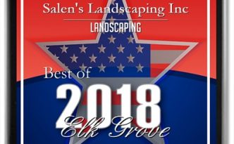 plaque best of 2018 Elk Grove Award
