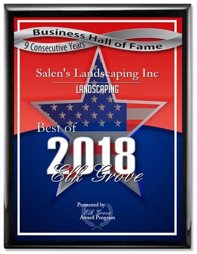 plaque best of 2018 Elk Grove Award