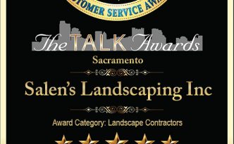 2019 talk of town award
