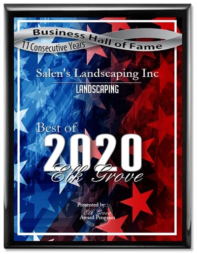 2020 Elk Grove Awards - Salens Inc