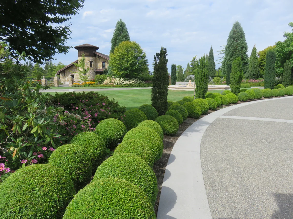 Landscape Design Basics 101: Everything You Need To Know - Landscaping