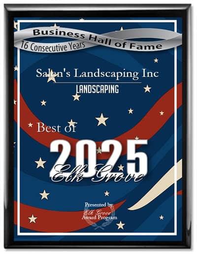 Salen’s Landscaping Wins Best of Elk Grove Award for 16 Consecutive Years - Landscaping